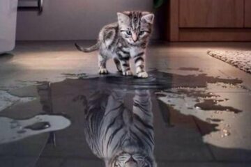 believe in yourself