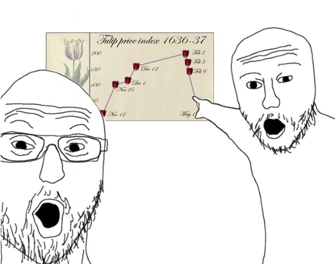 tulip bubble
